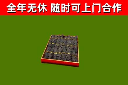 上海回收海参